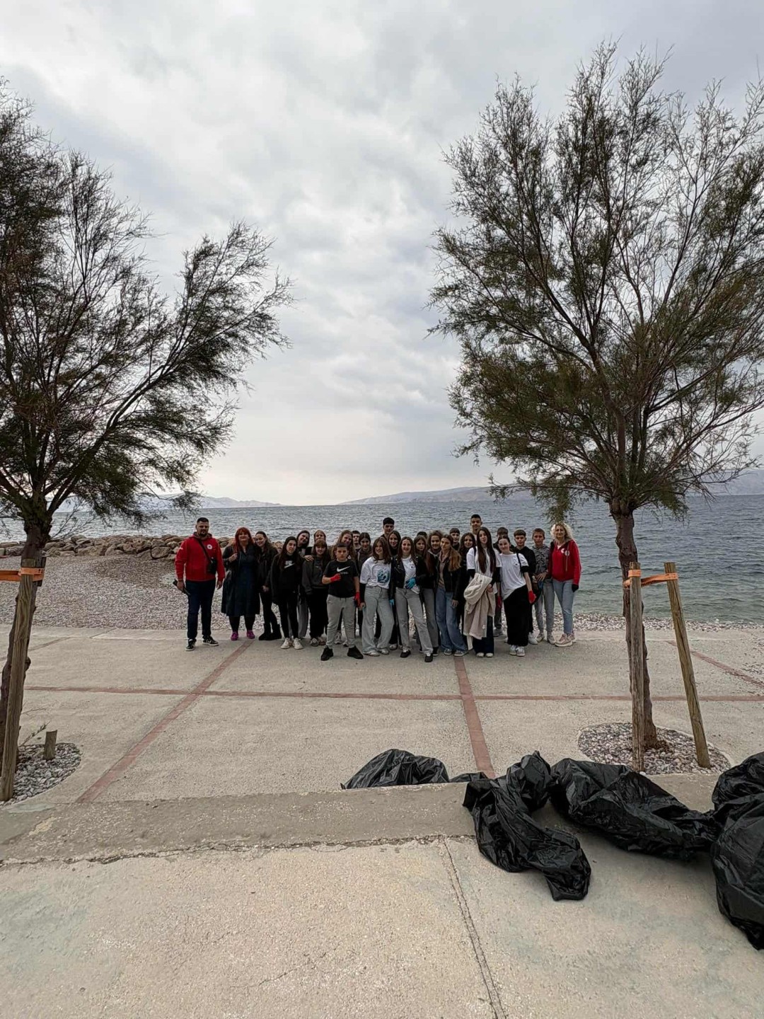 86d52b6c-abc1-47de-955b-998fa4d0211b